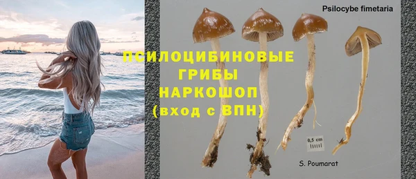 MDMA Осинники